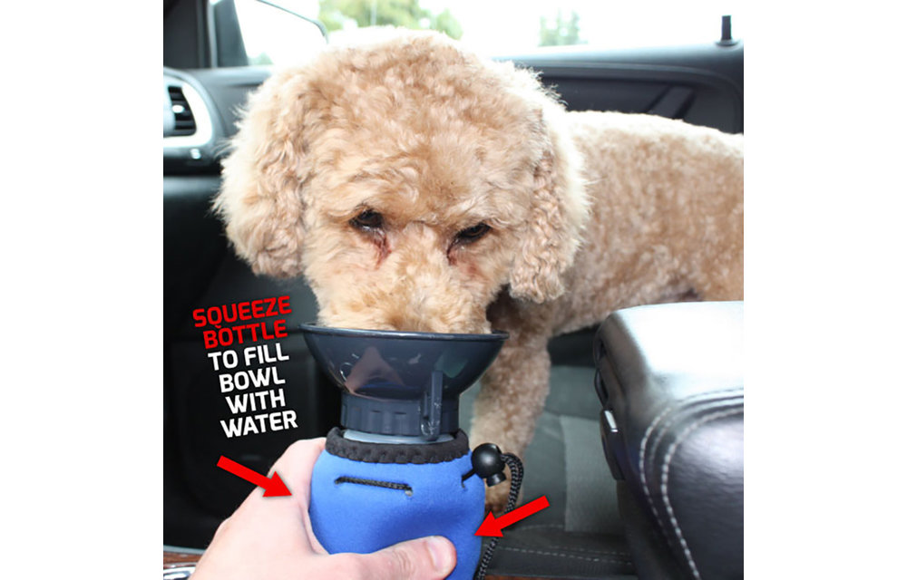 Lap-It-Up Water Bottle Blue 20 oz