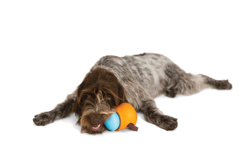 West Paw Toppl Aqua L