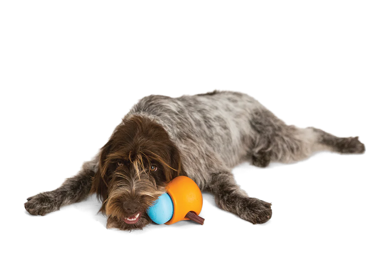 West Paw Toppl Aqua L