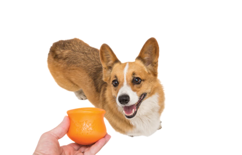 West Paw Toppl Tangerine S