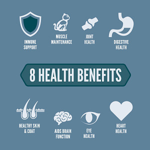 Orijen Guardian 8 Cat 1.8 kg