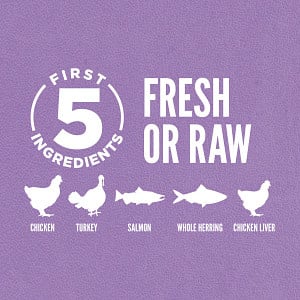 Orijen Kitten 1.8 kg