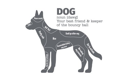 PSM Canvas Reusable Bag