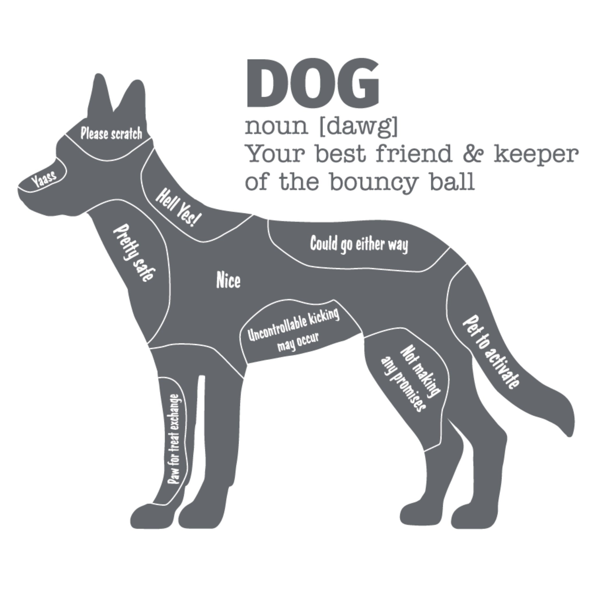 PSM Canvas Reusable Bag