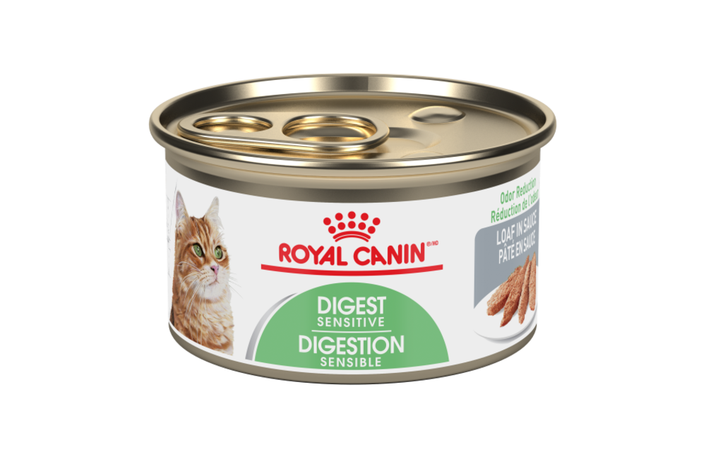Royal Canin FHN Digest Sensitive Loaf Cat 85 g