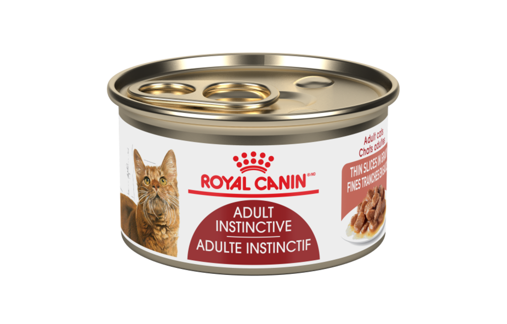 Royal Canin FHN Adult Inst Thin Slices Gravy Cat 85 g
