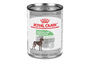 Royal Canin CHN Digestive Care Loaf Dog 385 g