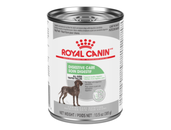 Royal Canin CHN Digestive Care Loaf Dog 385 g