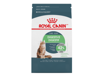 Royal Canin FHN Digestive Care Cat 6 lb