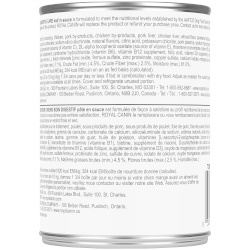 Royal Canin CHN Digestive Care Loaf Dog 385 g