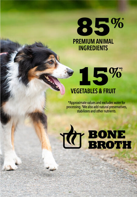 Acana Puppy Recipe in Bone Broth 363g