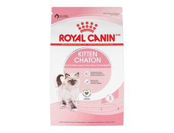 Royal Canin FHN Kitten  14 lb