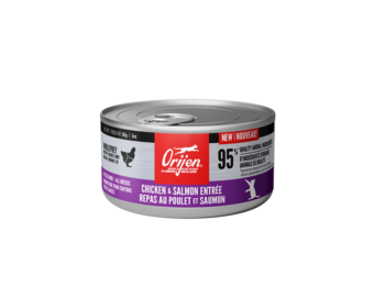 Orijen  Chicken & Salmon Entrée Kitten 85 g