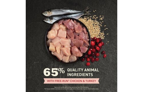 Acana Indoor Entrée Cat 1.8 kg