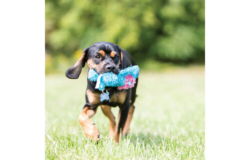 Kong Cozies Plush Lion Small Dog Toy