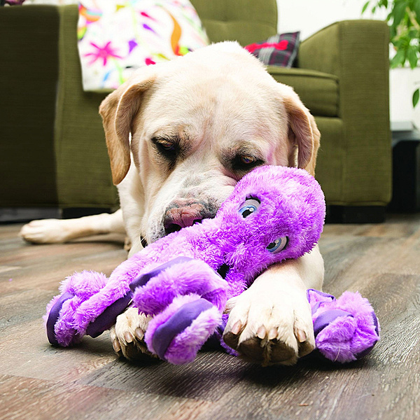 Kong SoftSeas Octopus Large Dog Toy