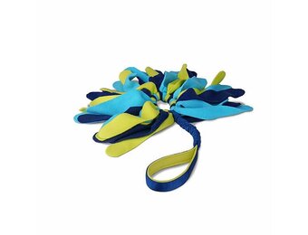Coachi Play Tuggi Spider Dog Toy