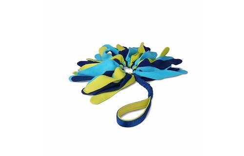 Coachi Play Tuggi Spider Dog Toy