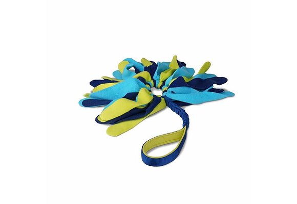 Coachi Play Tuggi Spider Dog Toy