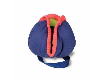 Coachi Play Chase & Treat Dog Toy