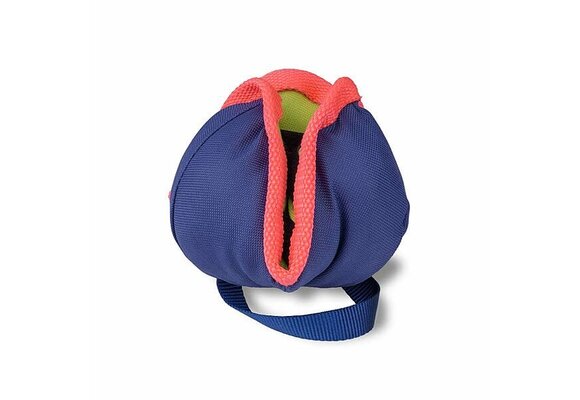 Coachi Play Chase & Treat Dog Toy