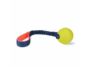 Coachi Play Tuggi Ball Dog Toy