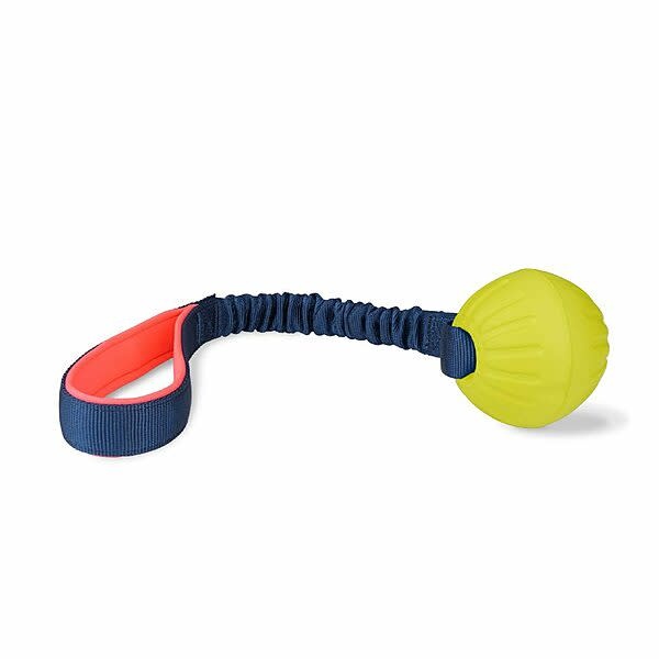 Coachi Play Tuggi Ball Dog Toy