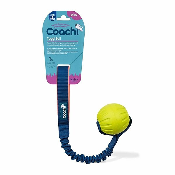 Coachi Play Tuggi Ball Dog Toy