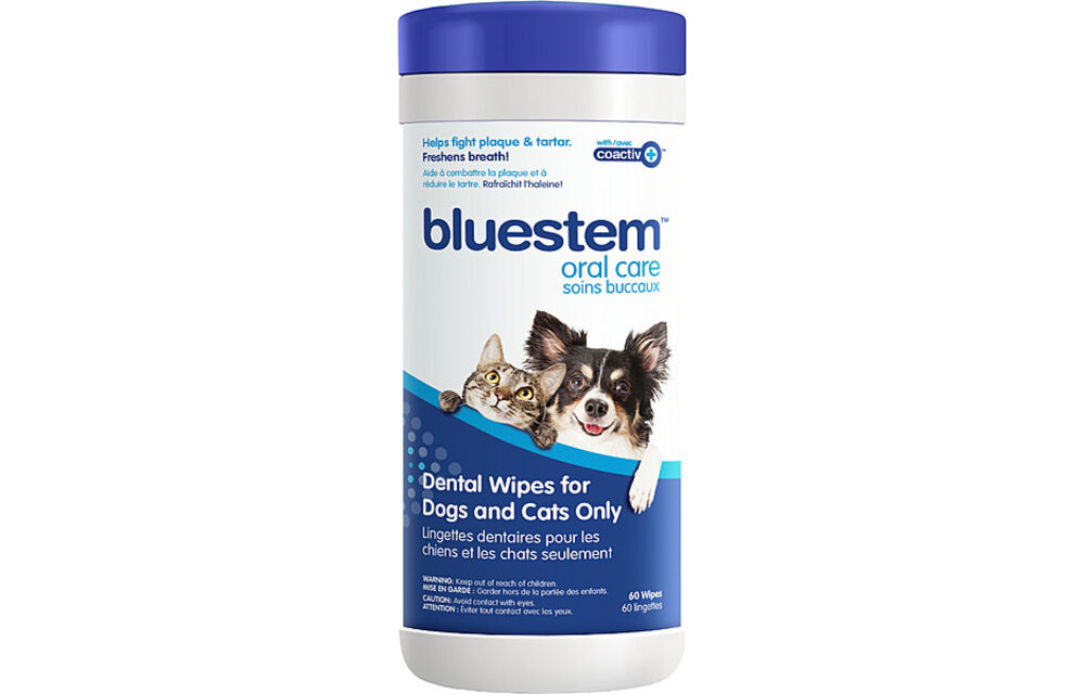 *Disc* Bluestem Dental Wipes 60pk