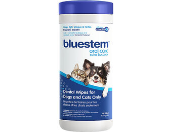 Bluestem Dental Wipes 60pk