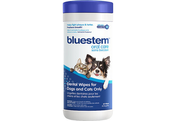 *Disc* Bluestem Dental Wipes 60pk