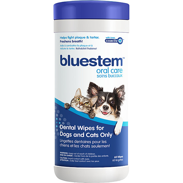 Bluestem Dental Wipes 60pk