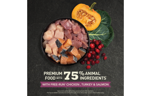 Acana Highest Protein Kitten 1.8 kg