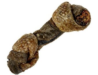 Snack 21 Salmon Skin Bones