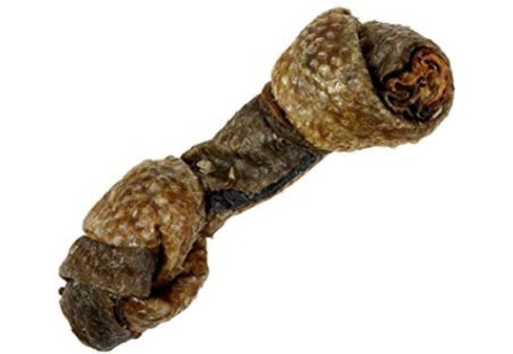Snack 21 Salmon Skin Bones