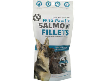 Snack 21 Salmon Fillets Dog 2.3 oz