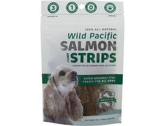 Snack 21 Salmon Jerky Strips Dog 25 g