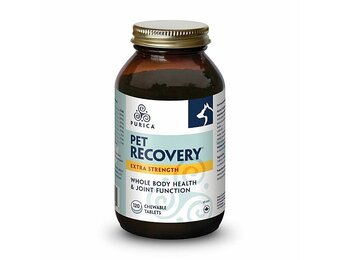 Purica Recovery SA Extra Strength Chew 120 pk