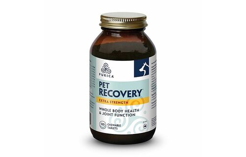 Purica Recovery SA Extra Strength Chew 120 pk