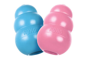 Kong Puppy Medium
