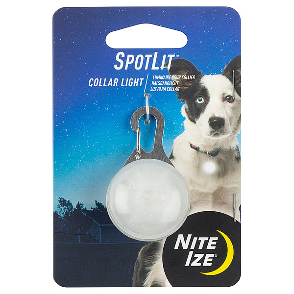 *Disc*NI SpotLit Collar Light White
