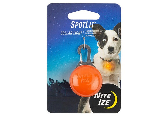 NI SpotLit Collar Light Orange