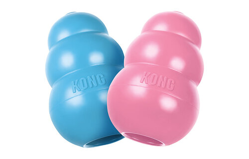 Kong Puppy Large