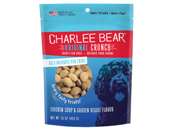 Charlee Bear Chicken Soup Dog 16 oz