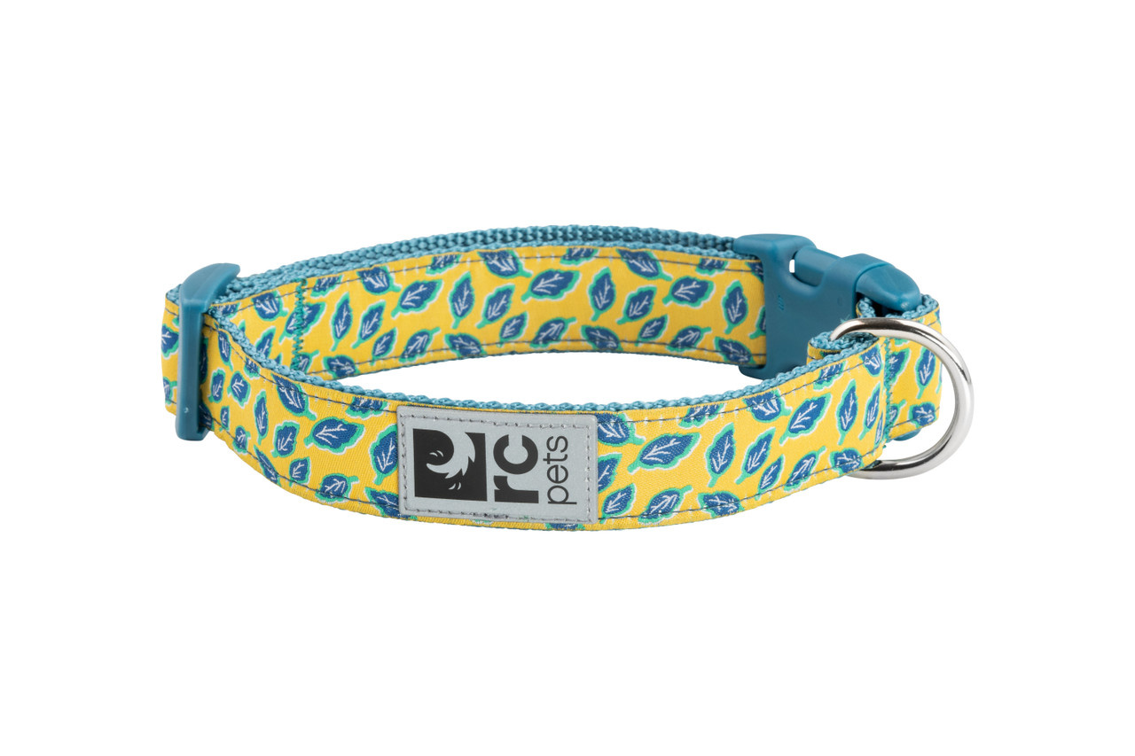 RC Pets Clip Collar