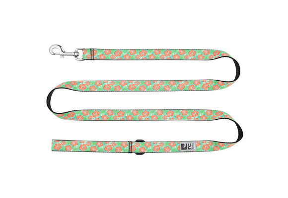 RC Leash