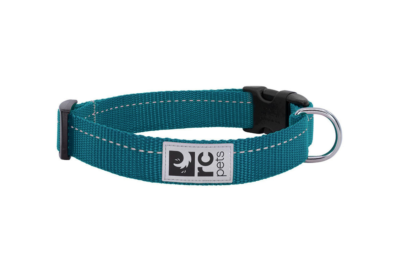 RC Pets Primary Clip Collar