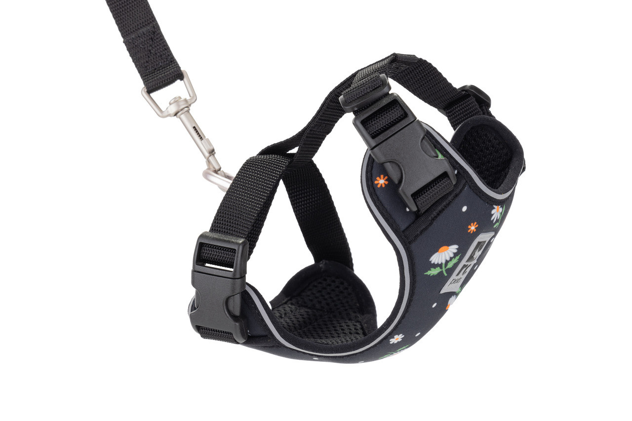 RC Pets Adventure Kitty Harness