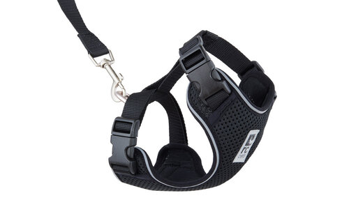 RC Pets Adventure Kitty Harness