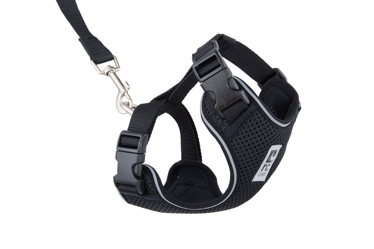 RC Pets Adventure Kitty Harness